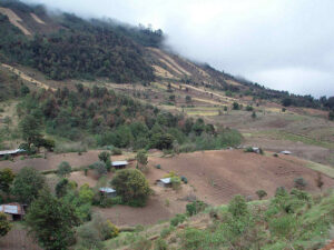 Subsistence farm plots on very steep slopes. This isn't sustainable and causes erosion, but wealthier people have taken the better lands. Photo by Flickr user Lon&Queta.